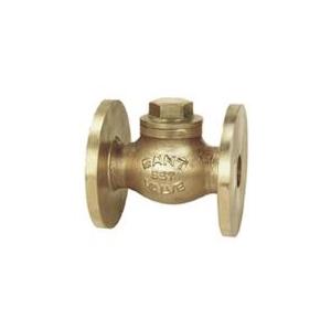 Sant Bronze Horizontal Life check Valve Renewable Disc 50 mm, IBR 3C